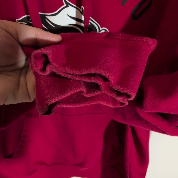 Independent Trading Company Beast Pro Pullover Hoodie Sweatshirt Size Large - Picture 3 of 8